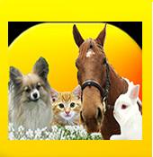 Pet welfare alliance